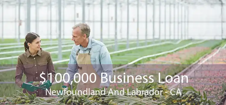 $100,000 Business Loan Newfoundland And Labrador - CA