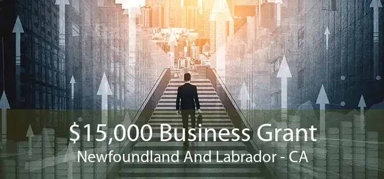 $15,000 Business Grant Newfoundland And Labrador - CA