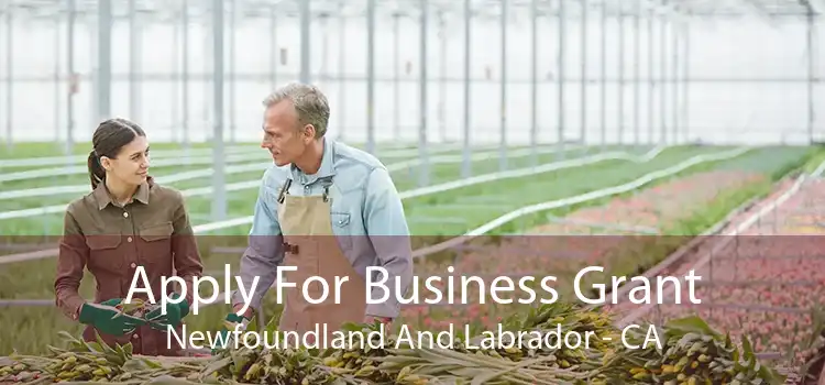 Apply For Business Grant Newfoundland And Labrador - CA