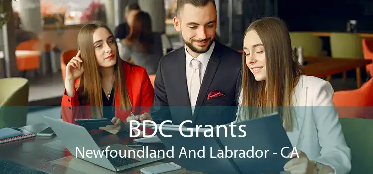 BDC Grants Newfoundland And Labrador - CA