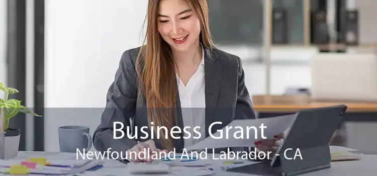 Business Grant Newfoundland And Labrador - CA